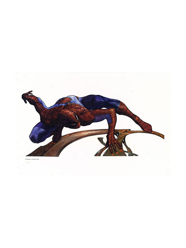Marvel Spiderman Limited Art Print by Simone Bianchi 67/400